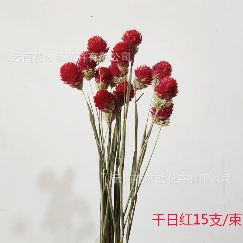 微信图片_20230728172717