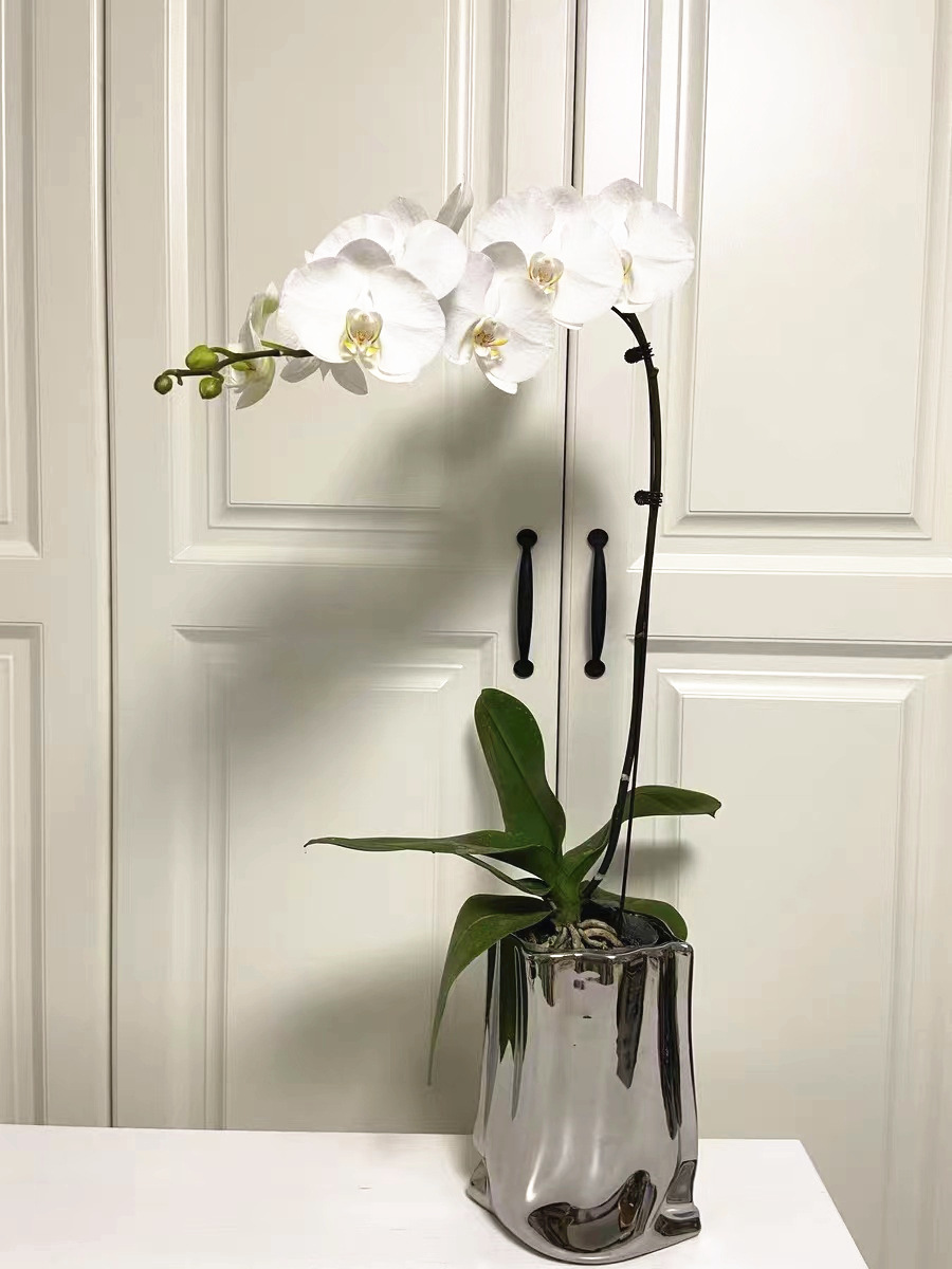 7aee784107a3c8446a7b56a0cece6c