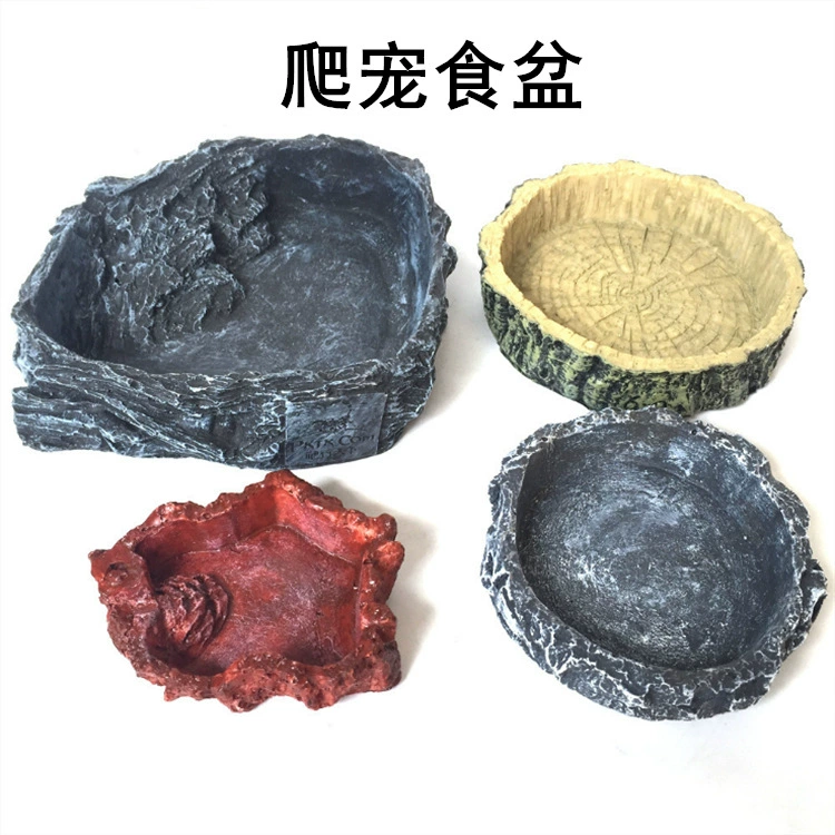 Рептилия Домашнее животное Водный бассейн Пищевой бассейн Черепаха Вода Черепаха Ящерица Змея Водный бассейн Небольшой круглый водный бассейн Смола Овощной бассейн Рисовый бассейн