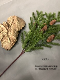 �ɘ�֦�٘��~�_�h��ɼ��������ֲ���b����������ɰؘ��~