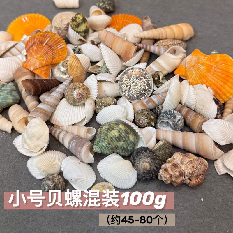 石塑粘土贝壳冰箱贴手工制作DIY海螺贝壳玛瑙免烧免考材料包|undefined