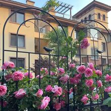 ֲ��ܑ��⻨�����ټ��������Fˇ���ܻ��@֧���F��ͥԺ�@ˇ����