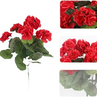 ���F؛���羳���R�d������N�L���溣�Ļ��ٻ��Ҿӿ͏d���ÿ��z��