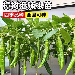 ��������������糯�콷�����N�����Դ�ȫ������������N�����ļ�