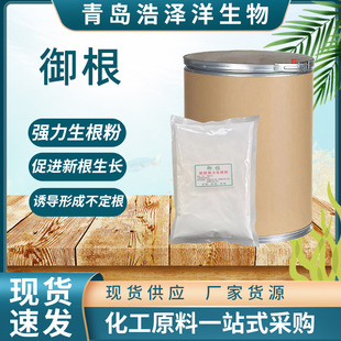 �������������۴��¸���l�������Ը���������c���ᶡ����������