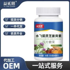 Yiyan Food オオアザミ、霊芝、クルクミン錠剤、キャンディー、厳選された原料、メーカー直販、卸売