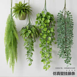 仿真绿植壁挂藤条波斯蕨尤加利叶壁挂婚庆酒店装饰蕨叶植物墙配材