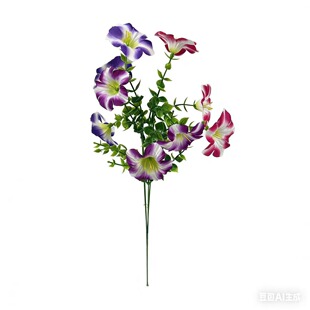 �羳������滨���ȼ�����ţ���m��춾Ƶ��Y����������@�b���
