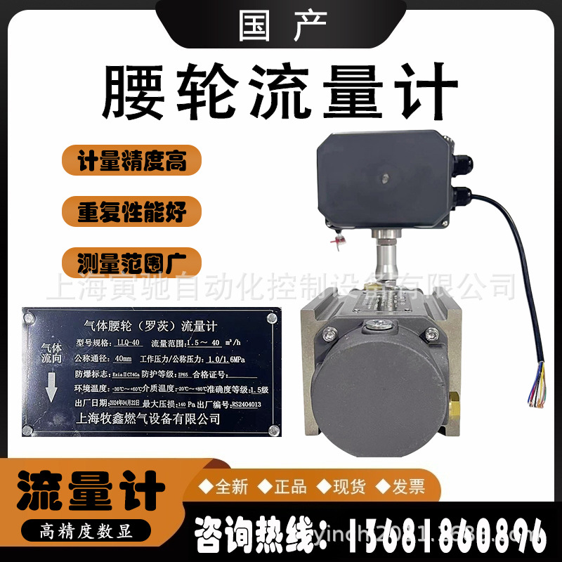 气体罗茨流量计腰轮LLQ-40天然气液体高精度苍南涡轮计量表LLQ-50
