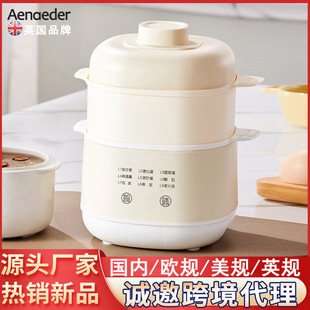 Electric Stew Pot for Baby Bird's Nest Porridge, Suitable for Home Use, 1-Person Soup Pot, Water-Separating Ceramic Electric Stew Pot with Free Shipping