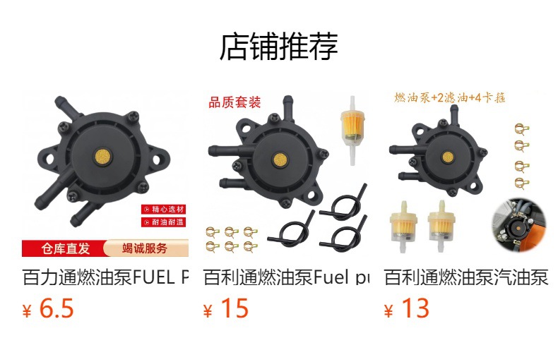 Baile Tongkeer Model Fuel Pump, Oil Pump, Gasoline Pump Upgraded Version Suitable for Motorcycles and Lawn Mowers, Universal Type