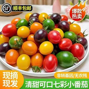 ����S���۹���С����6-7�NС���ӻ��b��ɫ�}Ů�������߹���ʳ