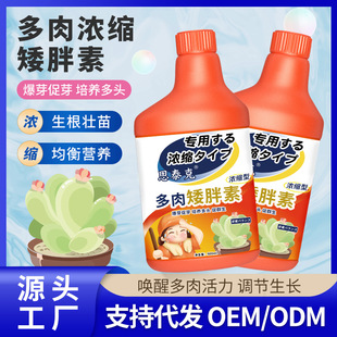 Stecher Succulent Short Fat Special Nutrient Solution for Flowering Fertilizer Water Cultivation Potted Plant Nutrient Solution Manufacturer Wholesale