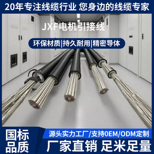 JXF늙C���Ӿ��m���B��늙C����늾��~��늉�500V1000V�͜�150��