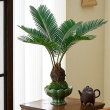 ̦޺������ˮ��ֲ���ļ��������������ֲ���ԼҾ����ڲ�ŷ��辰