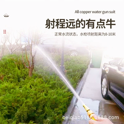 Gun Watering Flowers and Vegetables Shower: High pressure car wash water gun