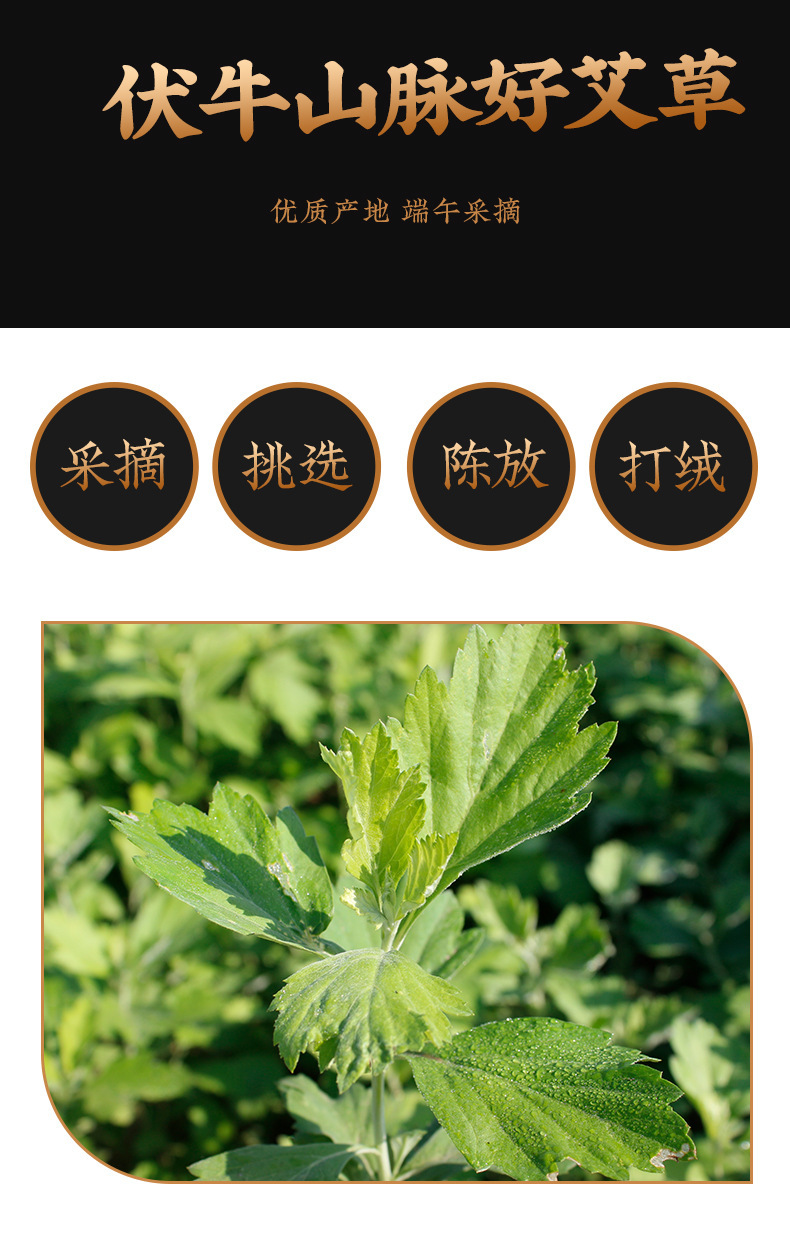 Moxa Sticks Ai Zhu 3-Year Aged Moxibustion Columns 4cm x 5cm for Home Spa Warming Use 6 Per Pack key features