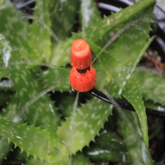 boquilla de pulverización de atomización de tipo antiguo ajustable y cierre de goteo integrado para jardín de riego automático de riego