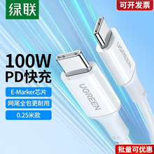 �pType-C������PD100W��侀 �m���O���A��С���֙CiPadƽ��