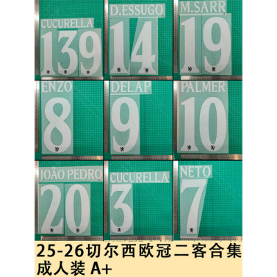 25-26 Chelsea Champions League Away Kit Adult Size A+ Gray Jersey Number Letter Heat Transfer Printing 25-26 Chelsea Champions League Away Kit Adult Size A+ Gray Jersey Number Letter Heat Transfer Printing