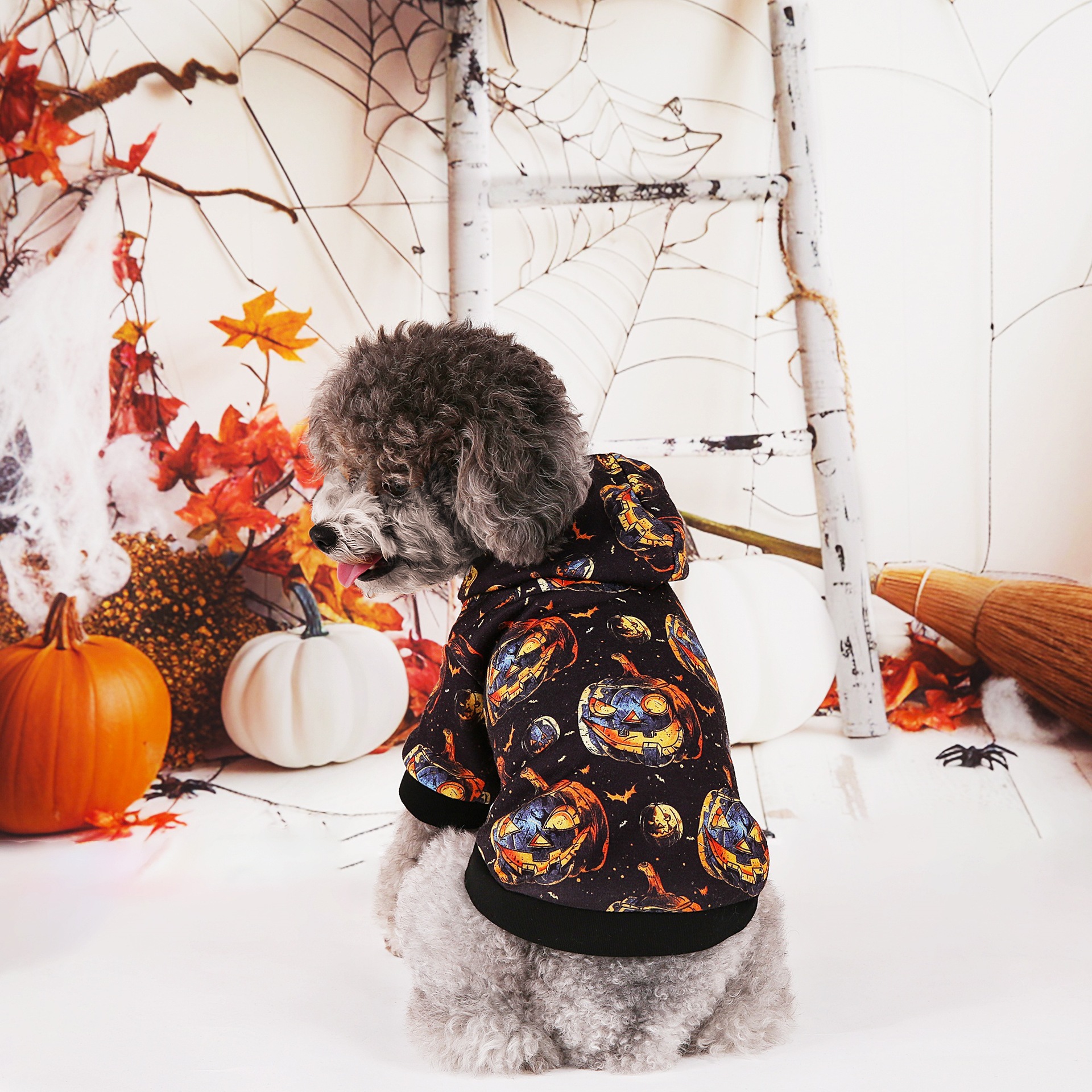 Sudadera de Halloween para Mascotas de Algodón de Poliéster, para Fiestas image 4