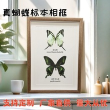 ������˱���� �W���L�b�DIY�͹����Ҿ�����С�[�����նY��