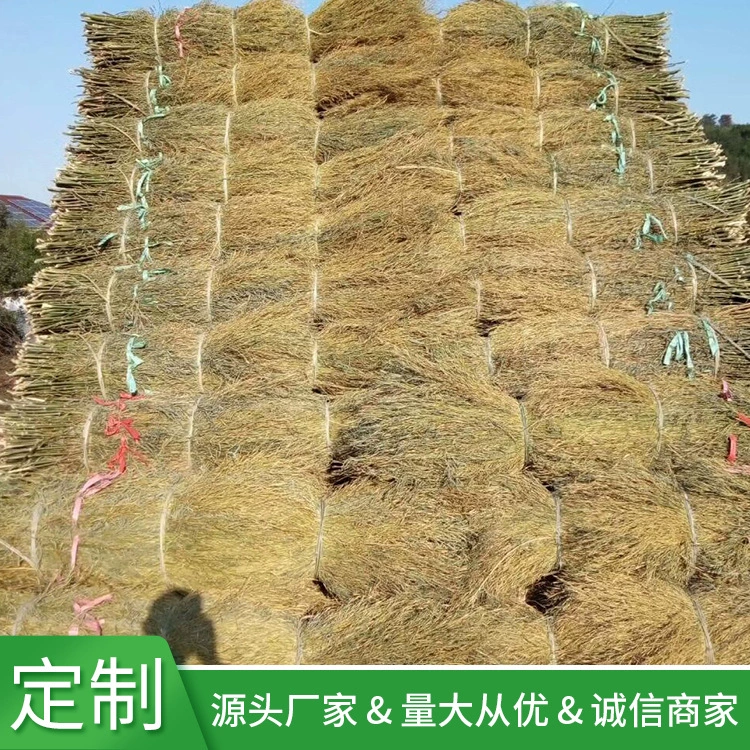 Производители происхождения продают все виды требований к качеству санитария очистка бамбуковая ветка шерстяной материал бамбуковая ветка метла рассада бамбука саженцы бамбука