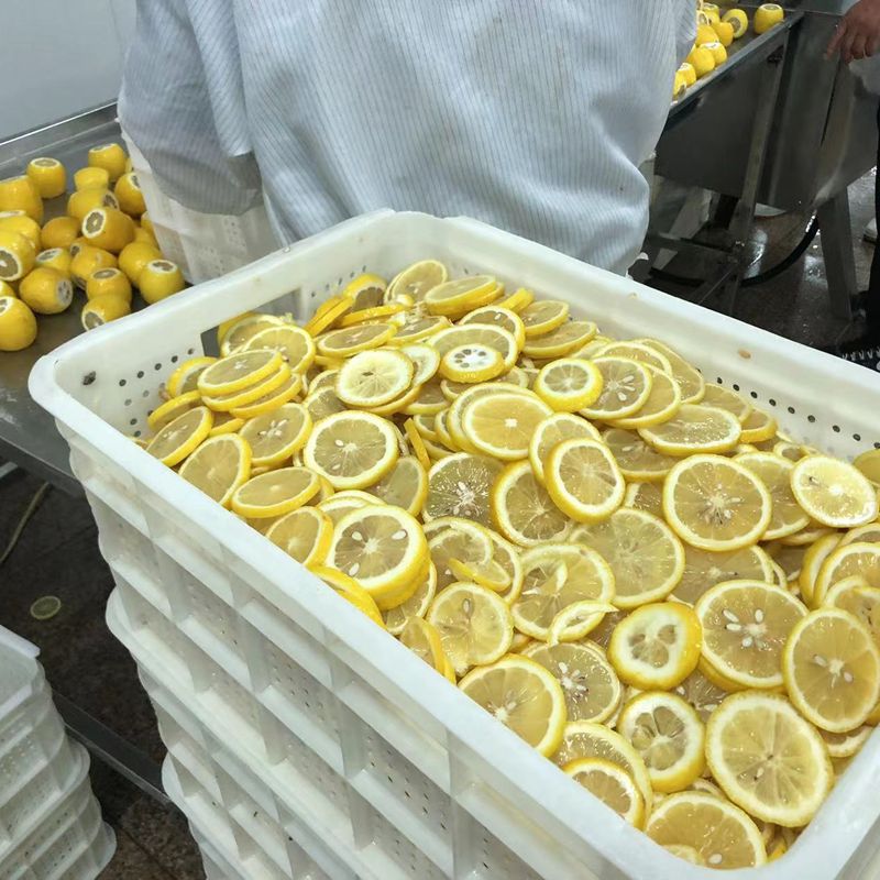 四川批發檸檬茶安岳散裝檸檬干新貨花果茶凍干蜂蜜檸檬片廠家