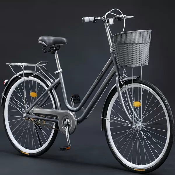 Economical version of iron grey single speed