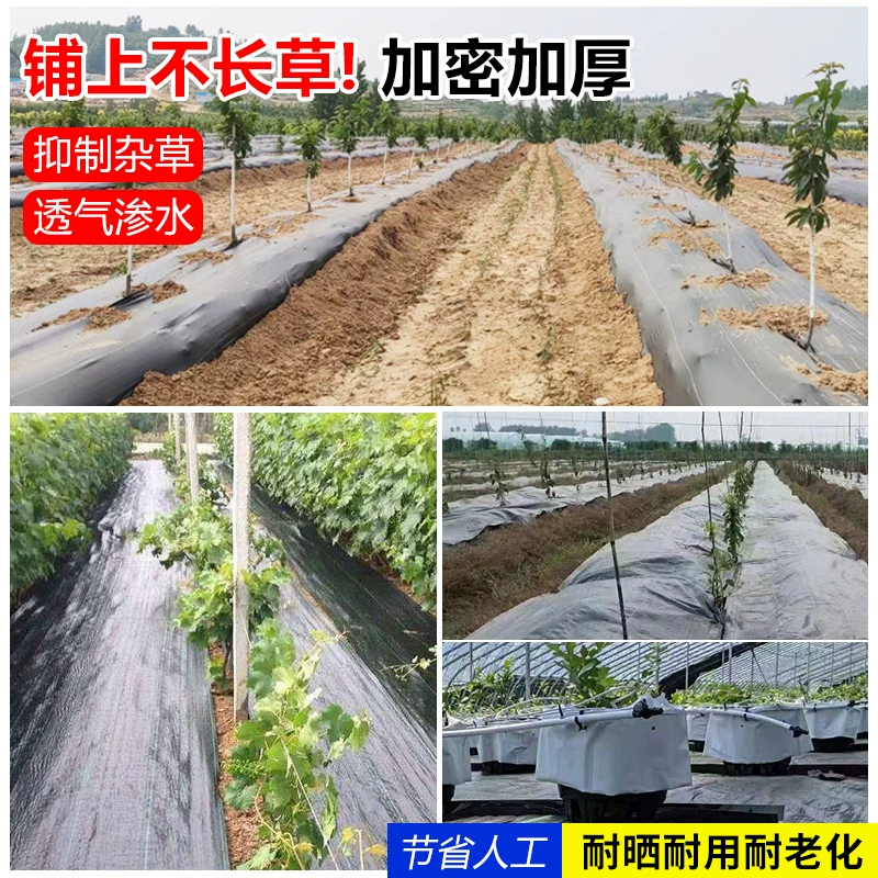 Дышащая просачивание воды против воздействия ультрафиолетовых лучей