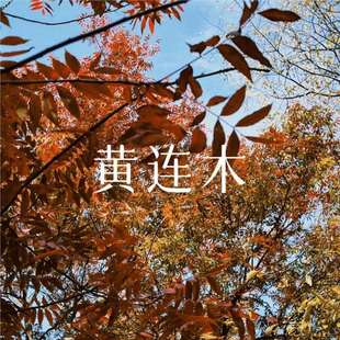 �²���ľ�N���S�Bľ�N�ӿ�ľ�����S鬘��ļ��ɲ��S�Bľ�N��