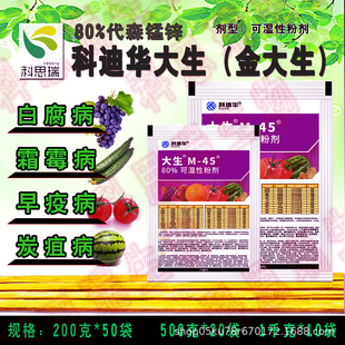 �����M45������ɭ�i�\������߲��~��̿��˪�~����֬���~�P֩��