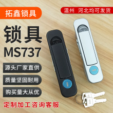 MS737늙���ƽ���i�_�P���ƙ��i�����i�C���T�W�j�C���T�i�羳