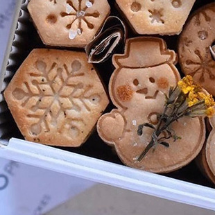 Ins Hot Sale Christmas Cookie Mold Snowman Snowflake Santa Cookie Press Style Baking Mold Wholesale