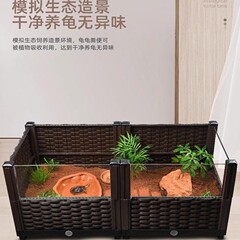 黄縁亀養殖箱造景ガラスと高さ半水亀専用安台縁家庭用生態飼育箱が大きくなった