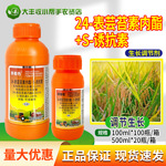 比赛尔 赛着色 24表芸苔素内酯&middot;S诱抗素生长调节剂水稻调节生长