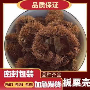 ���\������� ���l ����Ƥ ��ë������Ƥ �L��������ă������p