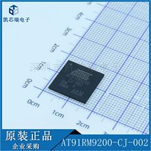 AT91RM9200-CJ-002 BGA-256 ΢������оƬ MCU��Ƭ�� ��ǰ��ѯ