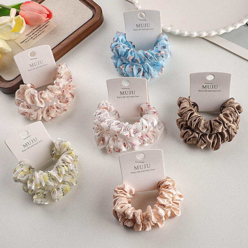 2 Pieces of Card-Packed Small Intestine Hair Ties, Korean Style Elegant Hair Ropes, High-End Mesh Printed Hair Ropes, Ball Head Ponytail Rubber Bands