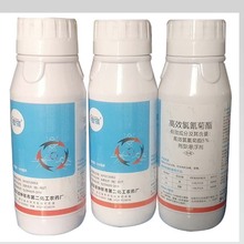 20ƿ����5%��Ч������������ș����ș���􇊞�������x��