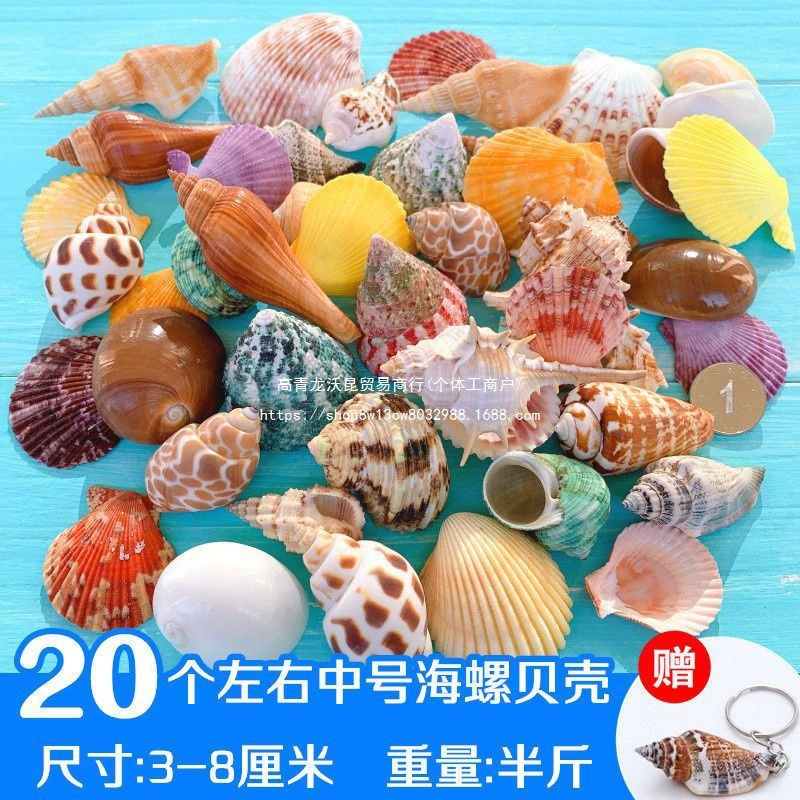 Моллюсновая раковина, морская звезда, украшение для ландшафта аквариума, перфорированный колокольчик, пакет материалов для бутылок, украшения, цельная оптовая продажа