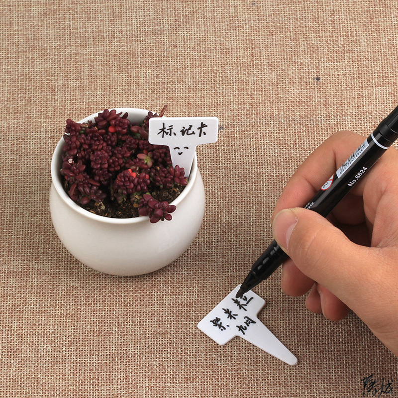 标牌花卉插牌栽植绿植塑料牌子多肉挂牌植物播种园艺木花盆名字
