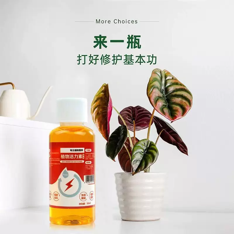 植物生长活力素促进壮根养花用的浓缩通用型营养液花卉多肉肥料水
