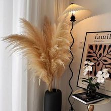 �JȔ�ɻ������滨�͏d�[�O�W�t��Ȕ������Ȼ����҃�ins�[��