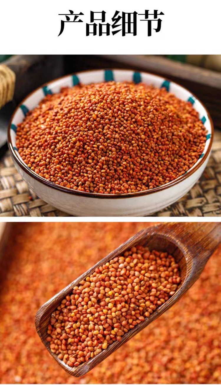 Chu Shi Zi (Broussonetia papyrifera Fruit) — Dried Food Herb, 500g Origin-Direct preparation