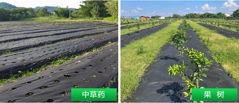 微信图片_20241230104003