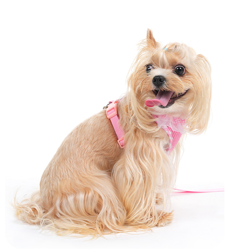 Arnés de pecho transpirable para perros con correa_voghion.com