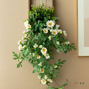 ins�L����ֲ����b�С�r�ռٻ��҃Ƞ��ڼٻ������ҕ�����ڳ�