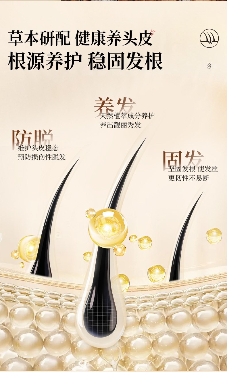 采菲尔生姜洗发水详情_05