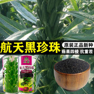 ����ھ�֥֥��N�Ӹ�����������ե�͌���֥��N�ѿ����߲˷N����
